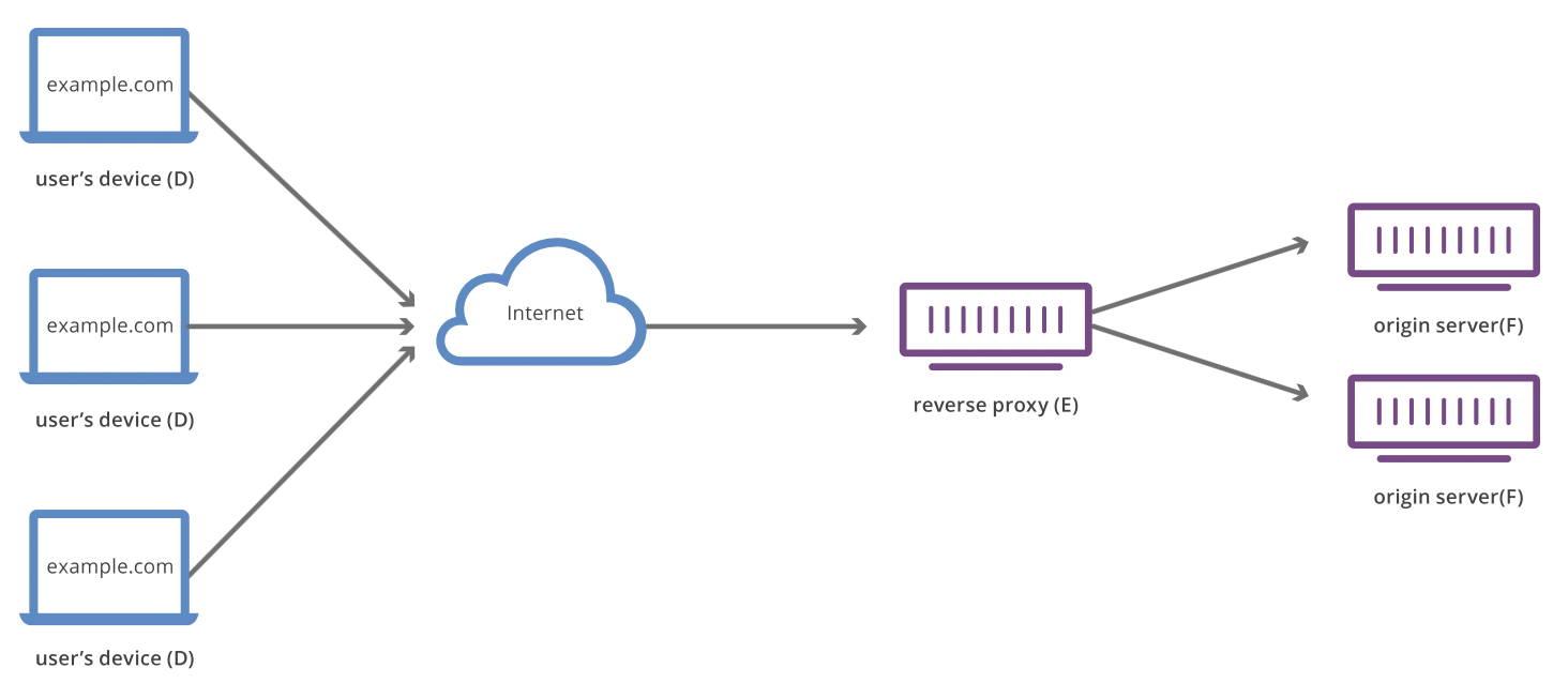 Reverse Proxy